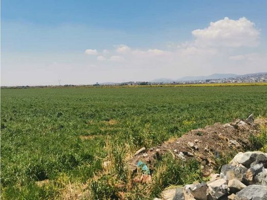 Land in Zempoala, Hidalgo