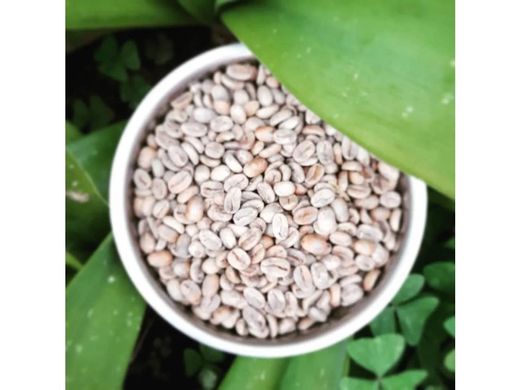 Farmhouse in Santa María Huatulco, Oaxaca