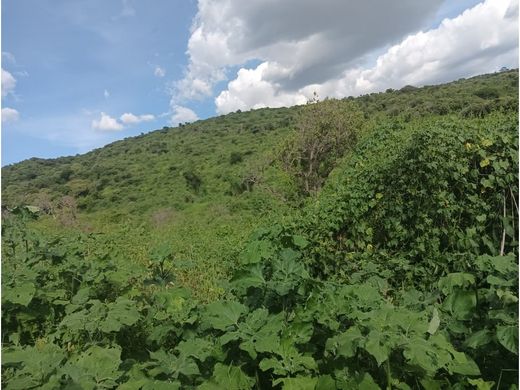 Grundstück in Tonalá, Jalisco