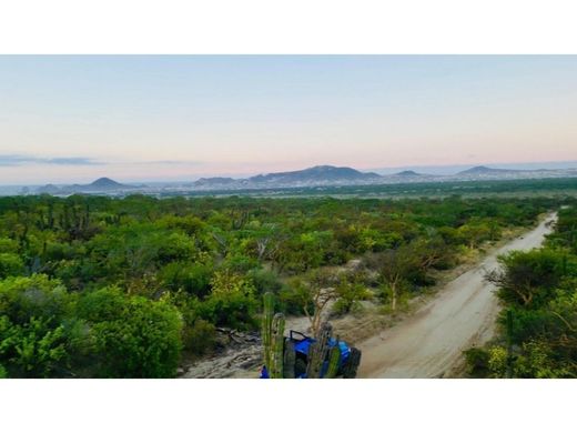 Terreno a Los Cabos, Bassa California del Sud