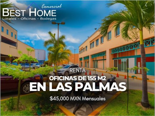 办公室  坎昆, Benito Juárez