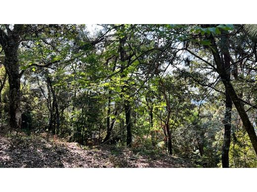 Terrain à Valle de Bravo, Estado de México