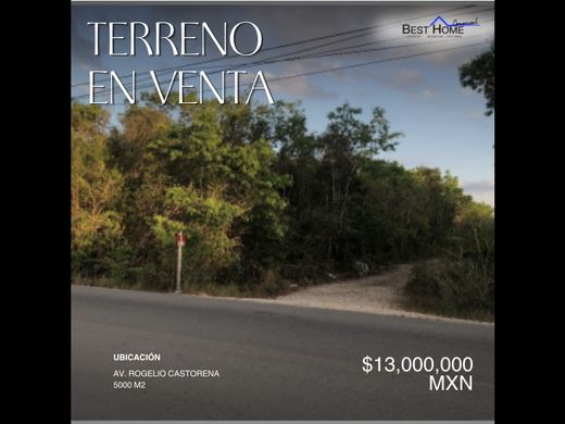 Teren w Cancún, Benito Juárez