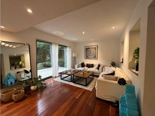 호화 저택 / Álvaro Obregón, Magdalena Contreras