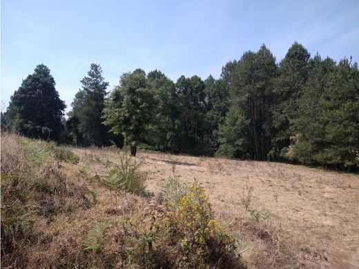 Rustykalny lub Wiejski w Valle de Bravo, Estado de México