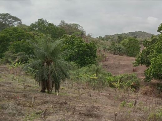 Land in Panama City, Distrito de Panamá