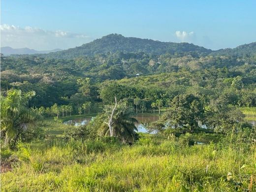 أرض ﻓﻲ Capira, Distrito de Capira