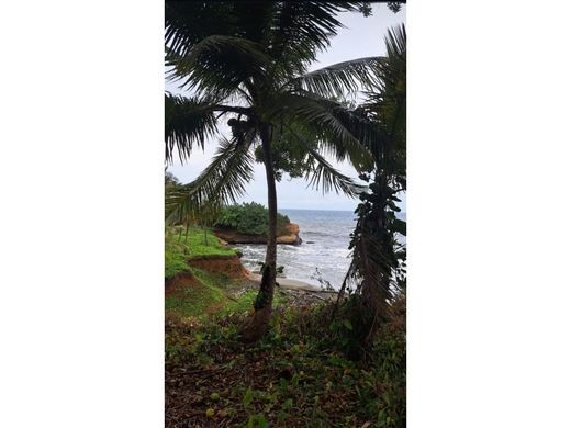 Land in Colón, Distrito de Colón