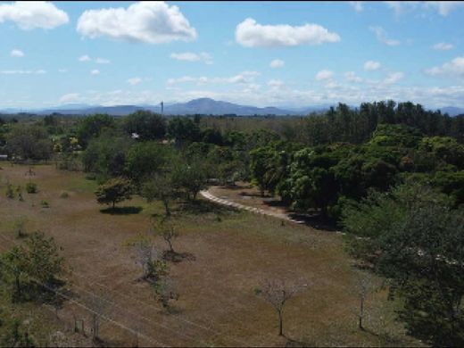 Penonomé, Distrito Penonoméの土地