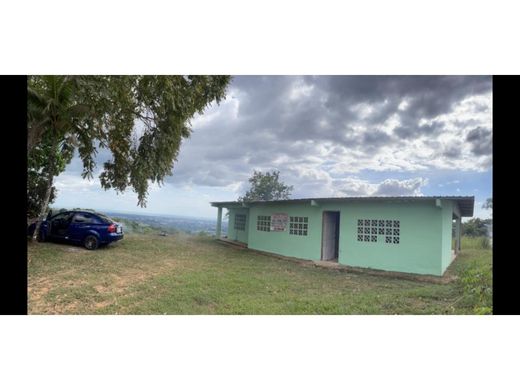 Gutshaus oder Landhaus in Panama-Stadt, Distrito de Panamá
