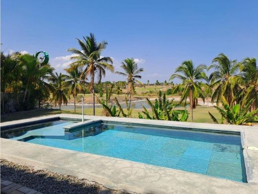 Luksusowy dom w San Carlos, Distrito de San Carlos