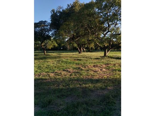 Farmhouse in Chame, Distrito de Chame