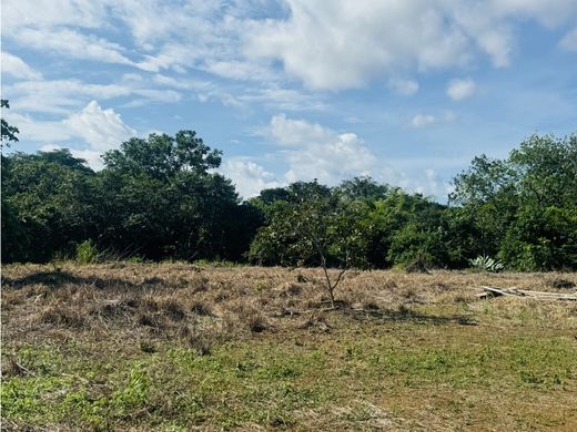 Land in David, Distrito de David