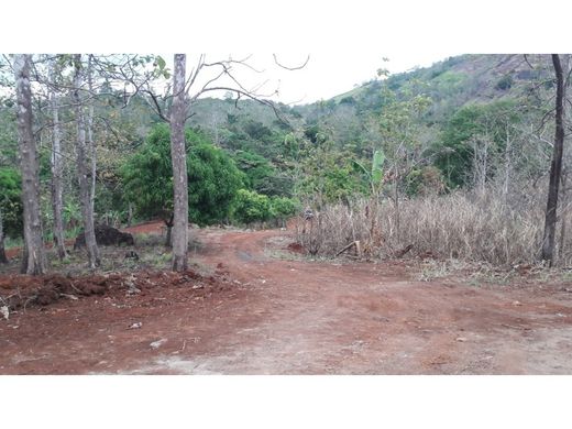 ﻣﻨﺰﻝ ﺭﻳﻔﻲ/ ﺑﻴﺖ ﻤﺰﺭﻋﺔ ﻓﻲ Las Lajas, Distrito de Panamá