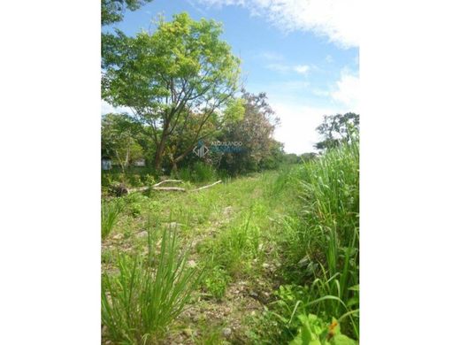 Arsa Alto Boquete, Distrito de Boquete