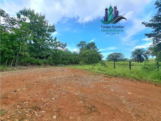 Horconcitos, Distrito de San Lorenzoのカントリー風またはファームハウス