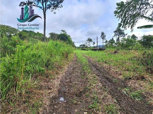 Boquete, Distrito de Boqueteのカントリー風またはファームハウス