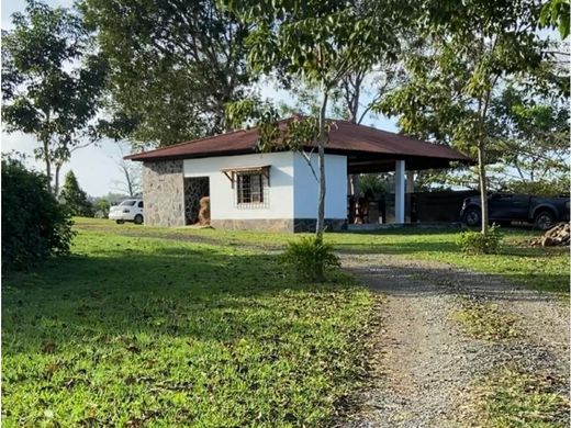 ‏קרקע ב  La Chorrera, Distrito de La Chorrera