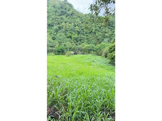 Ferme à Río Sereno, Distrito de Renacimiento