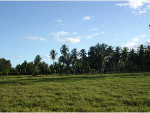 Terreno en Remedios, Distrito de Remedios