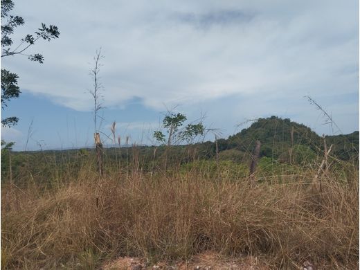 Arsa Capira, Distrito de Capira