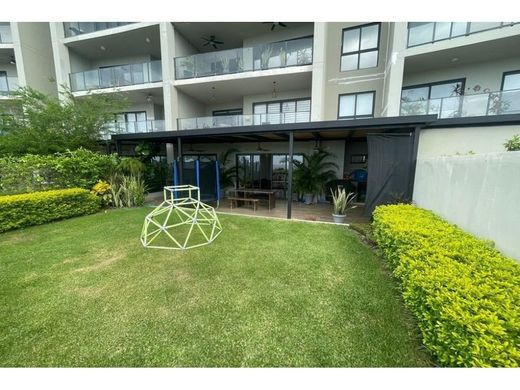 Apartament w San Carlos, Distrito de San Carlos