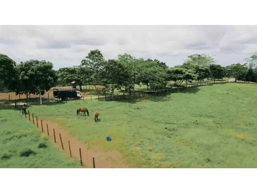 Boerderij in La Chorrera, Distrito de La Chorrera