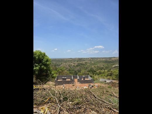 Ferme à Chame, Distrito de Chame