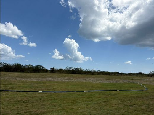 Gutshaus oder Landhaus in Coclé, Distrito Penonomé