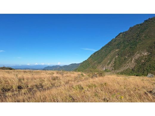 Участок, Volcán, Distrito de Bugaba