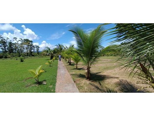 Boerderij in Bocas del Toro, Distrito de Bocas del Toro