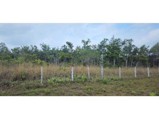 Boerderij in Horconcitos, Distrito de San Lorenzo