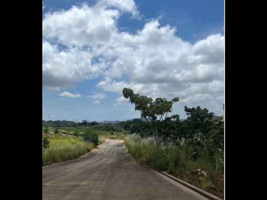 Αγροτεμάχιο σε Pedregal, Distrito de Panamá