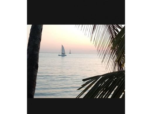 Puerto Armuelles, Distrito de Barúの土地