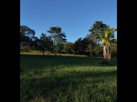 토지 / Chame, Distrito de Chame