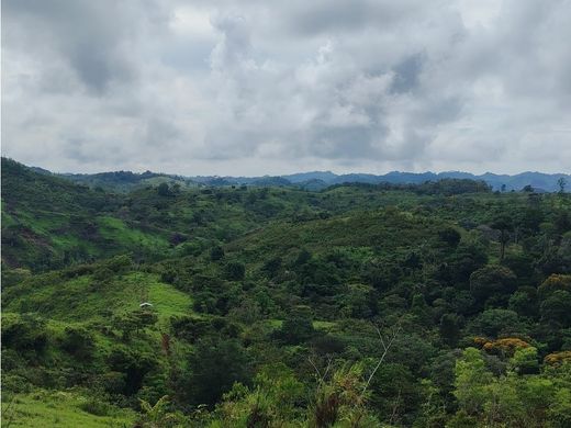 Gutshaus oder Landhaus in Capira, Distrito de Capira