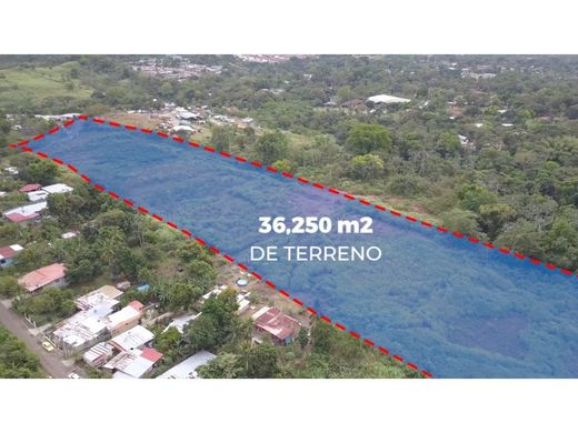 Αγροτεμάχιο σε Pedregal, Distrito de Panamá