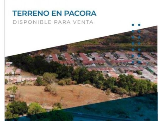 Pacora, Distrito de Panamáの土地