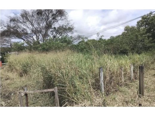 ‏קרקע ב  El Coco, Distrito Penonomé