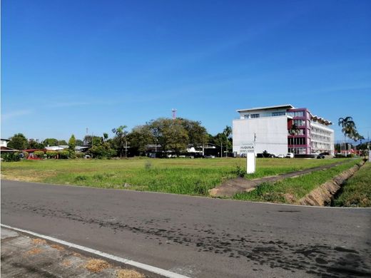 Land in David, Distrito de David