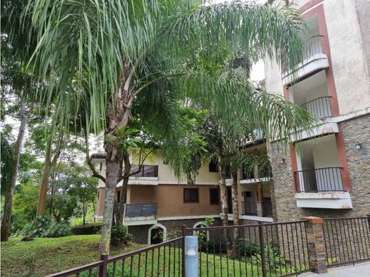 아파트 / 파나마 시, Distrito de Panamá