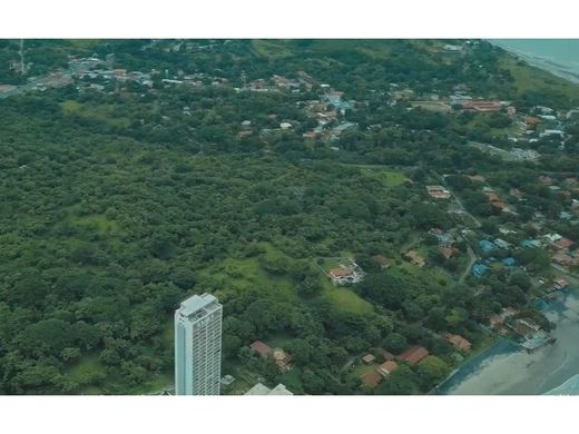 San Carlos, Distrito de San Carlosの土地