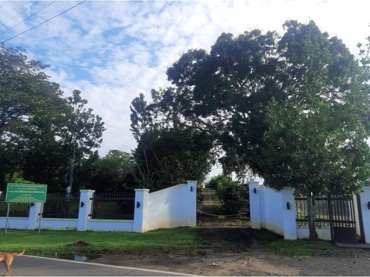 Сельский Дом, Cerro Azul, Distrito de Panamá