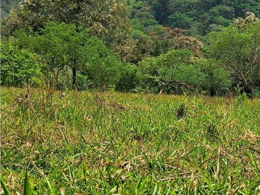 Quinta rústica - David, Distrito de David