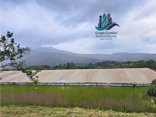 Quinta rústica - Boquete, Distrito de Boquete