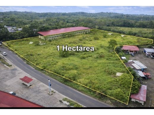 Land in Chepo, Distrito de Chepo