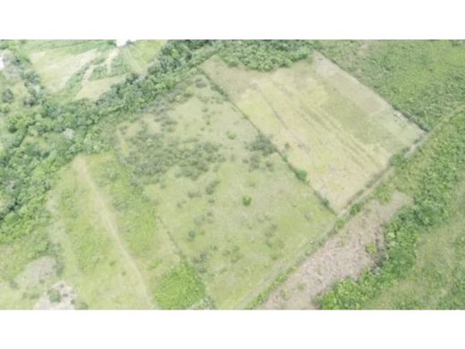 Arsa Dolega District, Distrito de Dolega