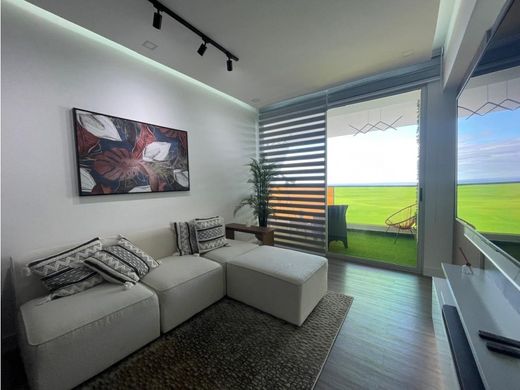 Daire Panama (şehir)
, Distrito de Panamá