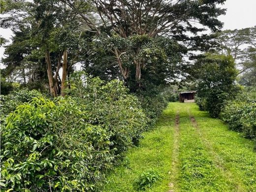 Farmhouse in Boquete, Distrito de Boquete
