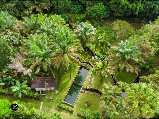 ‏בתים כפריים או חוות ב  Volcán, Distrito de Bugaba